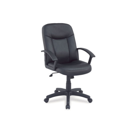 Manteo Mid Back Chair
