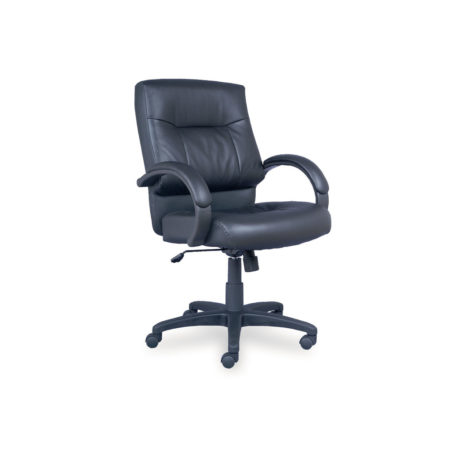 Tempest Mid Back Chair