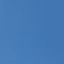 Blue Bello